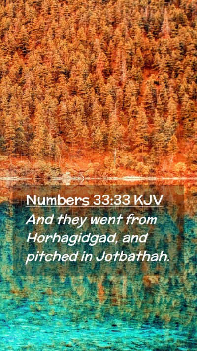Picture 02 - Numbers 33:33 KJV Mobile Phone Wallpaper - And they went from Horhagidgad, and pitched in - Mobile Bible Verse Wallpaper