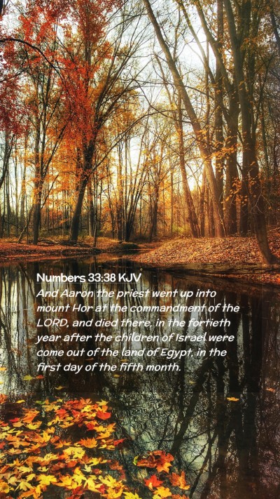 Picture 02 - Numbers 33:38 KJV Mobile Phone Wallpaper - And Aaron the priest went up into mount Hor at - Mobile Bible Verse Wallpaper