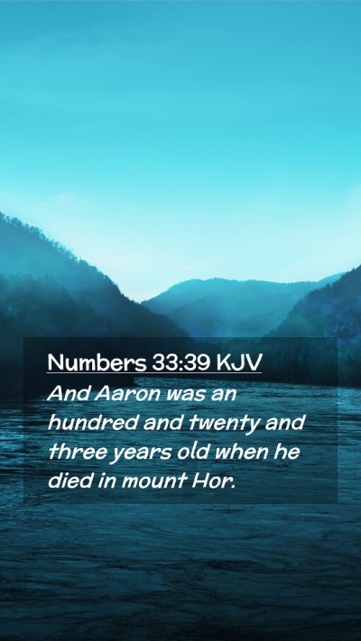 Picture 02 - Numbers 33:39 KJV Mobile Phone Wallpaper - And Aaron was an hundred and twenty and three - Mobile Bible Verse Wallpaper