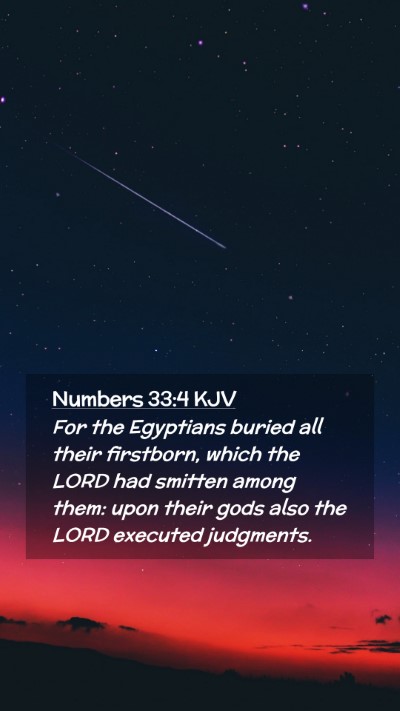 Picture 02 - Numbers 33:4 KJV Mobile Phone Wallpaper - For the Egyptians buried all their firstborn, - Mobile Bible Verse Wallpaper