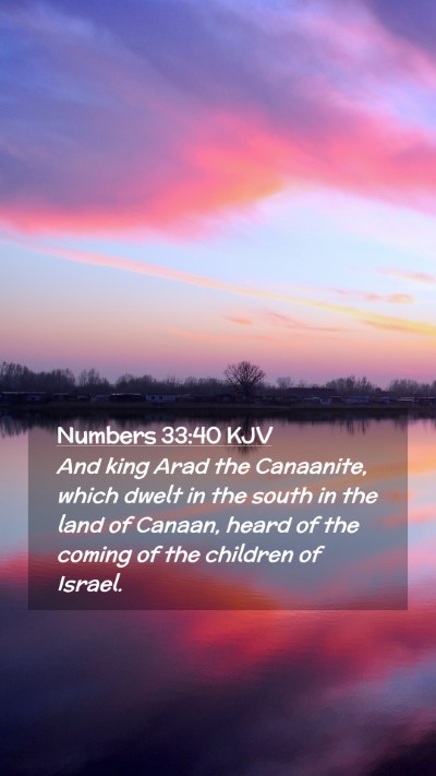 Picture 02 - Numbers 33:40 KJV Mobile Phone Wallpaper - And king Arad the Canaanite, which dwelt in the - Mobile Bible Verse Wallpaper