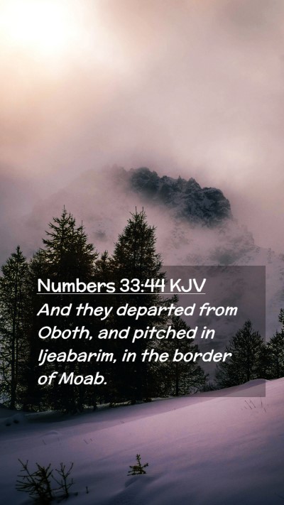 Picture 02 - Numbers 33:44 KJV Mobile Phone Wallpaper - And they departed from Oboth, and pitched in - Mobile Bible Verse Wallpaper