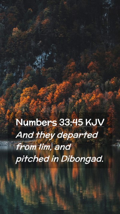 Picture 02 - Numbers 33:45 KJV Mobile Phone Wallpaper - And they departed from Iim, and pitched in - Mobile Bible Verse Wallpaper