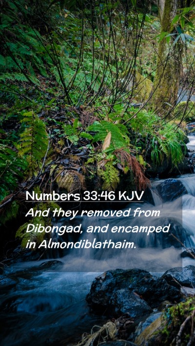 Picture 02 - Numbers 33:46 KJV Mobile Phone Wallpaper - And they removed from Dibongad, and encamped in - Mobile Bible Verse Wallpaper