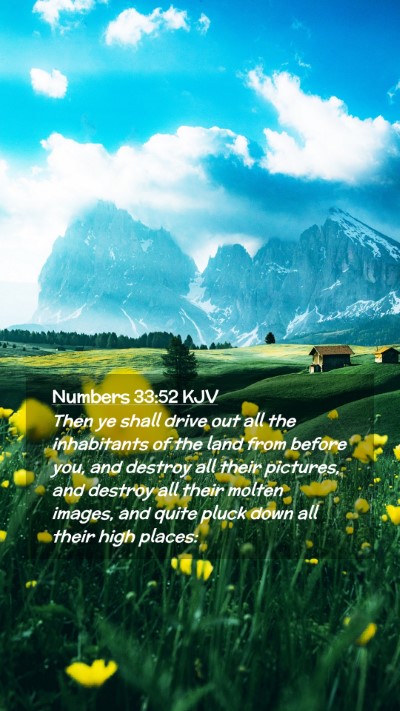 Picture 02 - Numbers 33:52 KJV Mobile Phone Wallpaper - Then ye shall drive out all the inhabitants of - Mobile Bible Verse Wallpaper