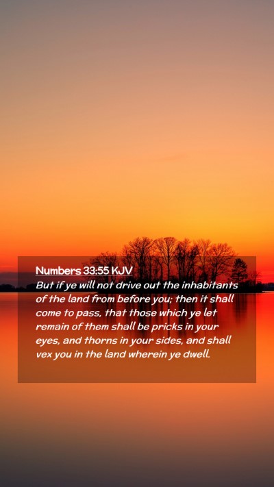 Picture 02 - Numbers 33:55 KJV Mobile Phone Wallpaper - But if ye will not drive out the inhabitants of - Mobile Bible Verse Wallpaper