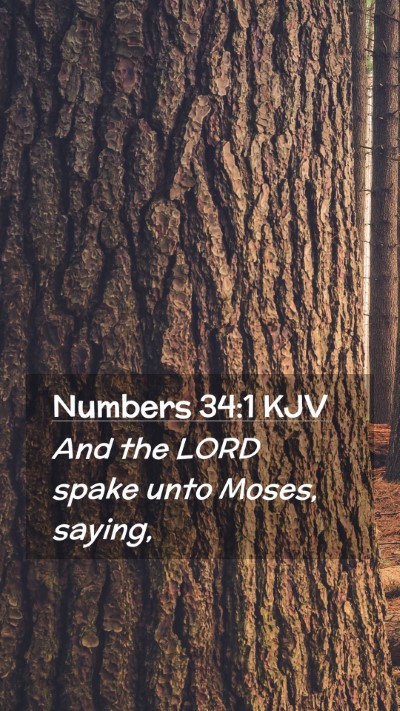 Picture 02 - Numbers 34:1 KJV Mobile Phone Wallpaper - And the LORD spake unto Moses, - Mobile Bible Verse Wallpaper