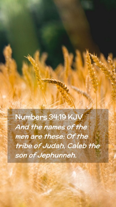 Picture 02 - Numbers 34:19 KJV Mobile Phone Wallpaper - And the names of the men are these: Of the tribe - Mobile Bible Verse Wallpaper