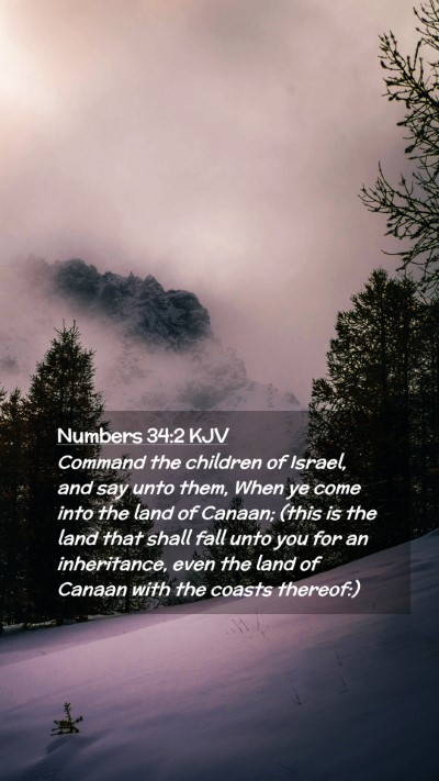 Picture 02 - Numbers 34:2 KJV Mobile Phone Wallpaper - Command the children of Israel, and say unto - Mobile Bible Verse Wallpaper