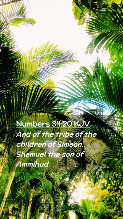 Picture 02 - Numbers 34:20 KJV Mobile Phone Wallpaper - And of the tribe of the children of Simeon, - Mobile Bible Verse Wallpaper