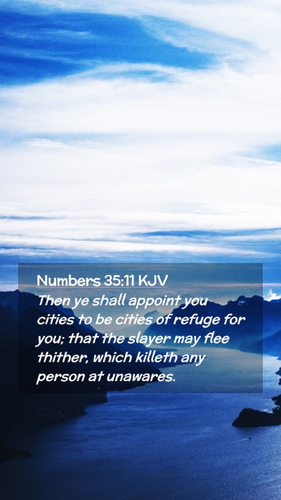 Picture 02 - Numbers 35:11 KJV Mobile Phone Wallpaper - Then ye shall appoint you cities to be cities of - Mobile Bible Verse Wallpaper