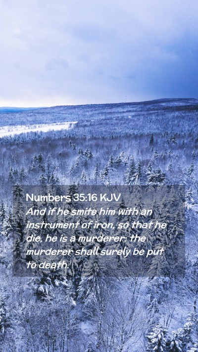 Picture 02 - Numbers 35:16 KJV Mobile Phone Wallpaper - And if he smite him with an instrument of iron, - Mobile Bible Verse Wallpaper