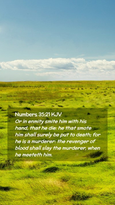 Picture 02 - Numbers 35:21 KJV Mobile Phone Wallpaper - Or in enmity smite him with his hand, that he - Mobile Bible Verse Wallpaper