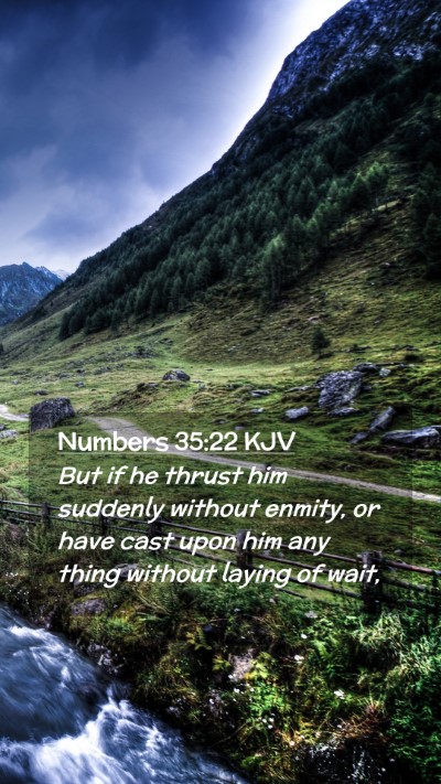 Picture 02 - Numbers 35:22 KJV Mobile Phone Wallpaper - But if he thrust him suddenly without enmity, or - Mobile Bible Verse Wallpaper