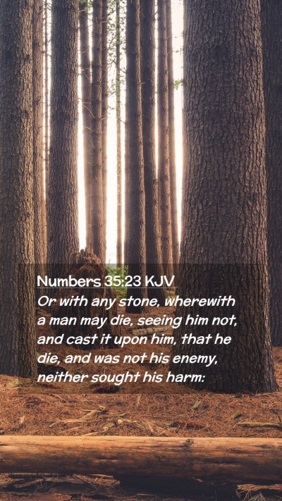 Picture 02 - Numbers 35:23 KJV Mobile Phone Wallpaper - Or with any stone, wherewith a man may die, - Mobile Bible Verse Wallpaper