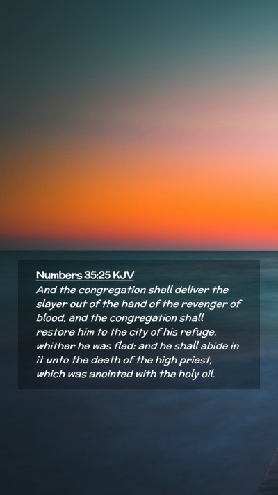 Picture 02 - Numbers 35:25 KJV Mobile Phone Wallpaper - And the congregation shall deliver the slayer out - Mobile Bible Verse Wallpaper