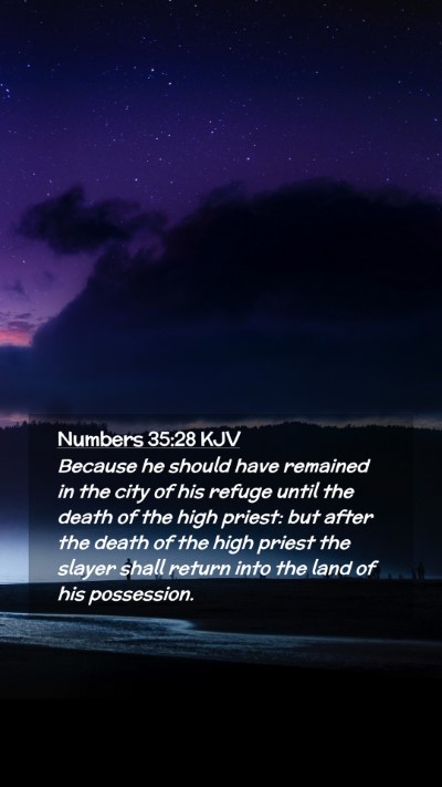 Picture 02 - Numbers 35:28 KJV Mobile Phone Wallpaper - Because he should have remained in the city of - Mobile Bible Verse Wallpaper