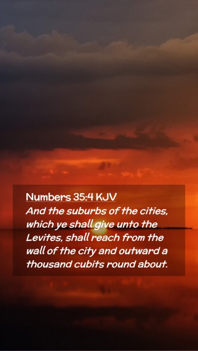 Picture 02 - Numbers 35:4 KJV Mobile Phone Wallpaper - And the suburbs of the cities, which ye shall - Mobile Bible Verse Wallpaper