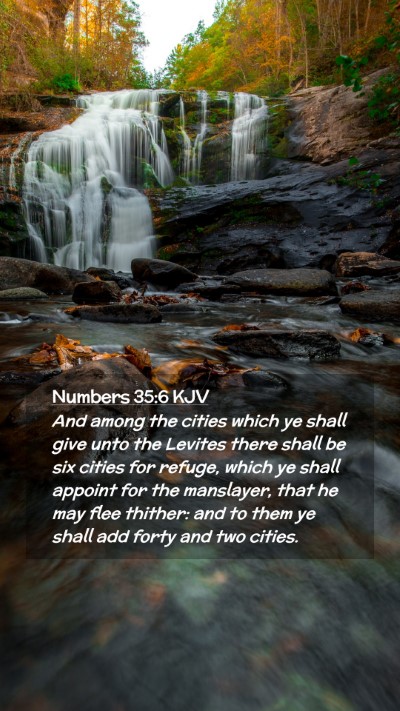 Picture 02 - Numbers 35:6 KJV Mobile Phone Wallpaper - And among the cities which ye shall give unto the - Mobile Bible Verse Wallpaper