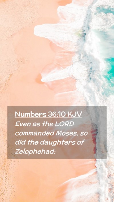 Picture 02 - Numbers 36:10 KJV Mobile Phone Wallpaper - Even as the LORD commanded Moses, so did the - Mobile Bible Verse Wallpaper