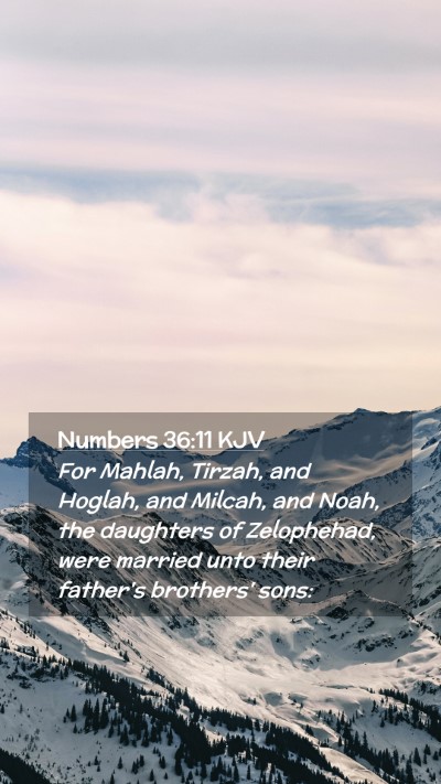 Picture 02 - Numbers 36:11 KJV Mobile Phone Wallpaper - For Mahlah, Tirzah, and Hoglah, and Milcah, and - Mobile Bible Verse Wallpaper