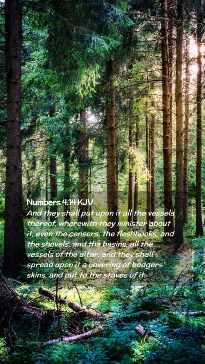 Picture 02 - Numbers 4:14 KJV Mobile Phone Wallpaper - And they shall put upon it all the vessels - Mobile Bible Verse Wallpaper