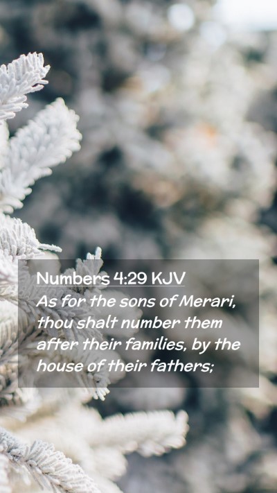 Picture 02 - Numbers 4:29 KJV Mobile Phone Wallpaper - As for the sons of Merari, thou shalt number them - Mobile Bible Verse Wallpaper