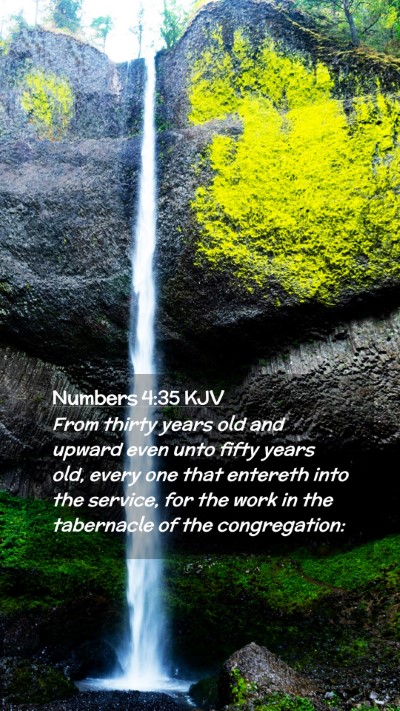 Picture 02 - Numbers 4:35 KJV Mobile Phone Wallpaper - From thirty years old and upward even unto fifty - Mobile Bible Verse Wallpaper