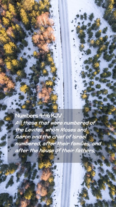 Picture 02 - Numbers 4:46 KJV Mobile Phone Wallpaper - All those that were numbered of the Levites, whom - Mobile Bible Verse Wallpaper