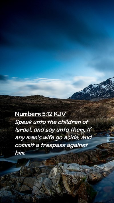 Picture 02 - Numbers 5:12 KJV Mobile Phone Wallpaper - Speak unto the children of Israel, and say unto - Mobile Bible Verse Wallpaper
