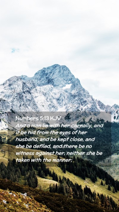 Picture 02 - Numbers 5:13 KJV Mobile Phone Wallpaper - And a man lie with her carnally, and it be hid - Mobile Bible Verse Wallpaper