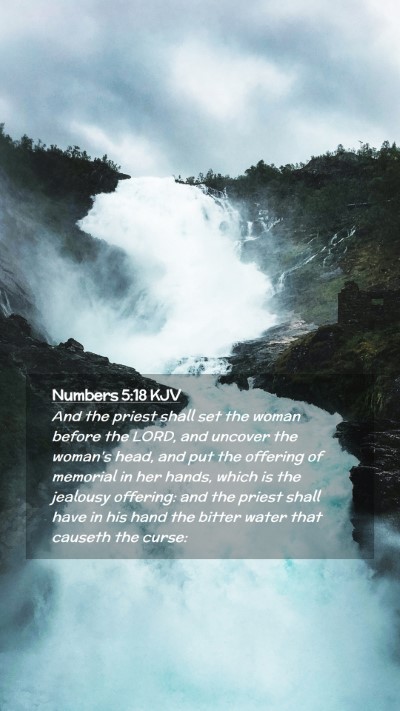 Picture 02 - Numbers 5:18 KJV Mobile Phone Wallpaper - And the priest shall set the woman before the - Mobile Bible Verse Wallpaper