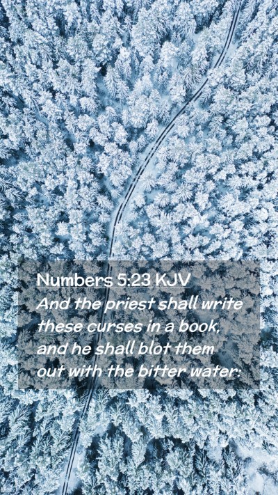 Picture 02 - Numbers 5:23 KJV Mobile Phone Wallpaper - And the priest shall write these curses in a - Mobile Bible Verse Wallpaper