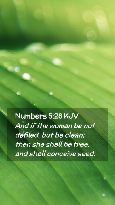 Picture 02 - Numbers 5:28 KJV Mobile Phone Wallpaper - And if the woman be not defiled, but be clean; - Mobile Bible Verse Wallpaper