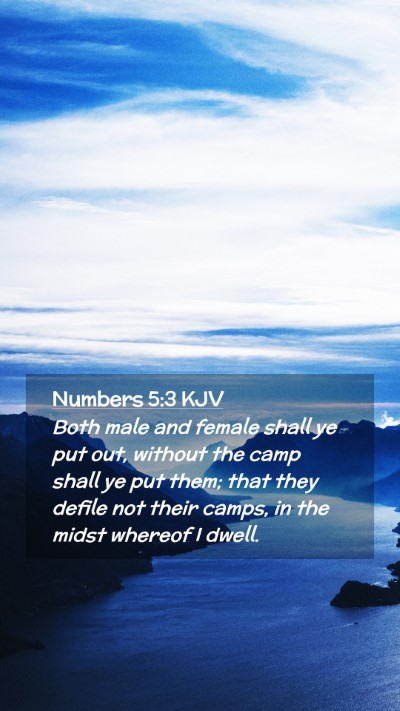 Picture 02 - Numbers 5:3 KJV Mobile Phone Wallpaper - Both male and female shall ye put out, without - Mobile Bible Verse Wallpaper