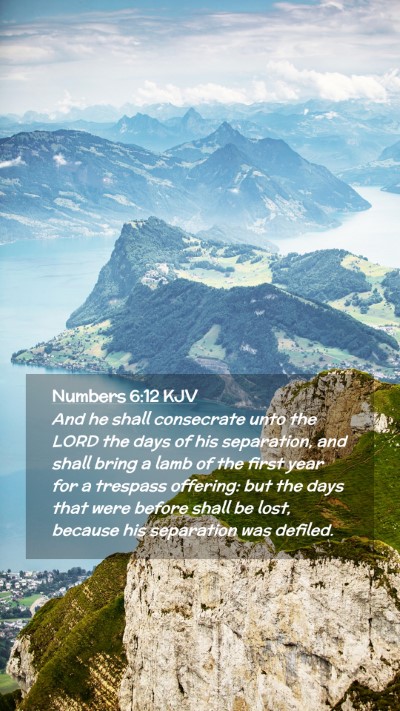 Picture 02 - Numbers 6:12 KJV Mobile Phone Wallpaper - And he shall consecrate unto the LORD the days of - Mobile Bible Verse Wallpaper