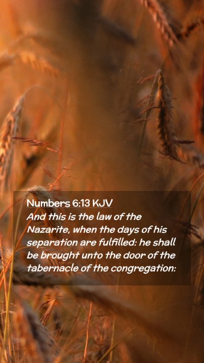 Picture 02 - Numbers 6:13 KJV Mobile Phone Wallpaper - And this is the law of the Nazarite, when the - Mobile Bible Verse Wallpaper