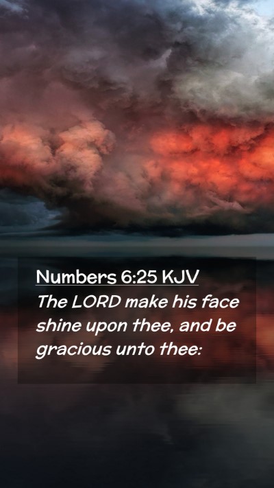 Picture 02 - Numbers 6:25 KJV Mobile Phone Wallpaper - The LORD make his face shine upon thee, and be - Mobile Bible Verse Wallpaper