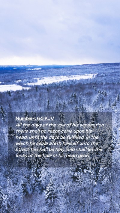 Picture 02 - Numbers 6:5 KJV Mobile Phone Wallpaper - All the days of the vow of his separation there - Mobile Bible Verse Wallpaper
