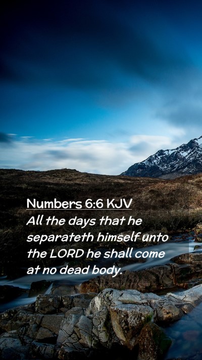 Picture 02 - Numbers 6:6 KJV Mobile Phone Wallpaper - All the days that he separateth himself unto the - Mobile Bible Verse Wallpaper