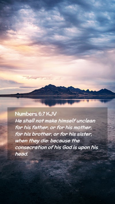 Picture 02 - Numbers 6:7 KJV Mobile Phone Wallpaper - He shall not make himself unclean for his father, - Mobile Bible Verse Wallpaper