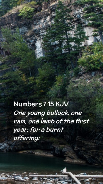 Picture 02 - Numbers 7:15 KJV Mobile Phone Wallpaper - One young bullock, one ram, one lamb of the first - Mobile Bible Verse Wallpaper