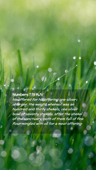 Picture 02 - Numbers 7:19 KJV Mobile Phone Wallpaper - He offered for his offering one silver charger, - Mobile Bible Verse Wallpaper