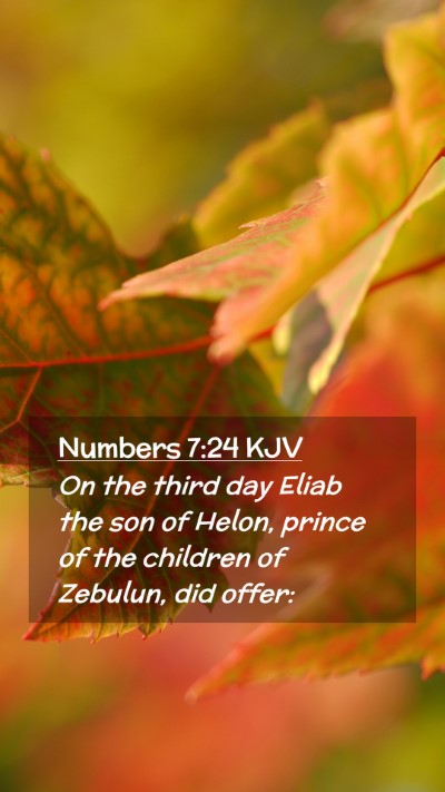 Picture 02 - Numbers 7:24 KJV Mobile Phone Wallpaper - On the third day Eliab the son of Helon, prince - Mobile Bible Verse Wallpaper