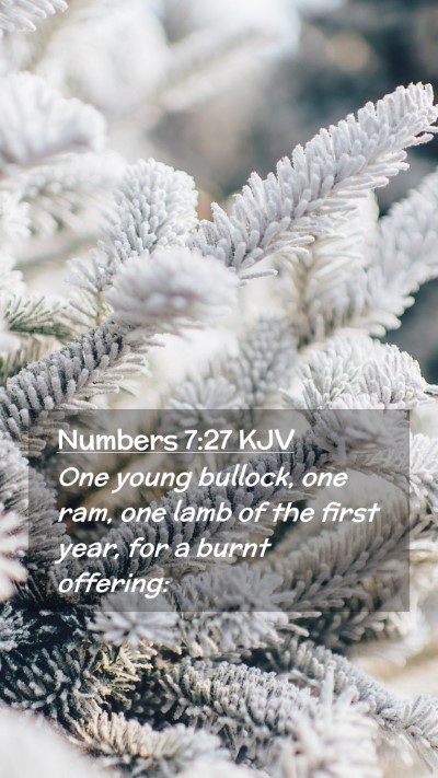Picture 02 - Numbers 7:27 KJV Mobile Phone Wallpaper - One young bullock, one ram, one lamb of the first - Mobile Bible Verse Wallpaper