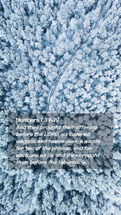 Picture 02 - Numbers 7:3 KJV Mobile Phone Wallpaper - And they brought their offering before the LORD, - Mobile Bible Verse Wallpaper