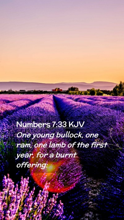 Picture 02 - Numbers 7:33 KJV Mobile Phone Wallpaper - One young bullock, one ram, one lamb of the first - Mobile Bible Verse Wallpaper