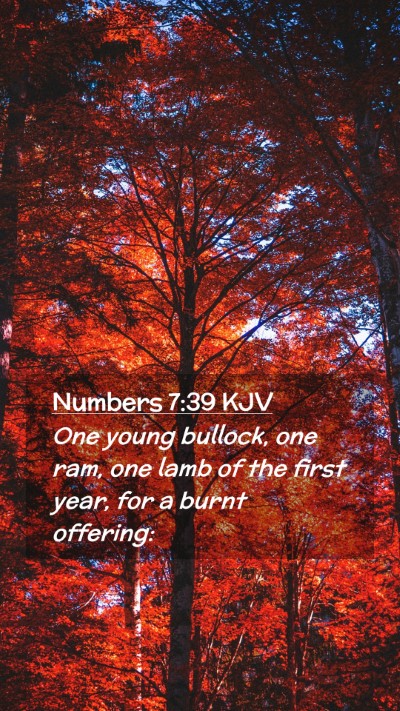 Picture 02 - Numbers 7:39 KJV Mobile Phone Wallpaper - One young bullock, one ram, one lamb of the first - Mobile Bible Verse Wallpaper