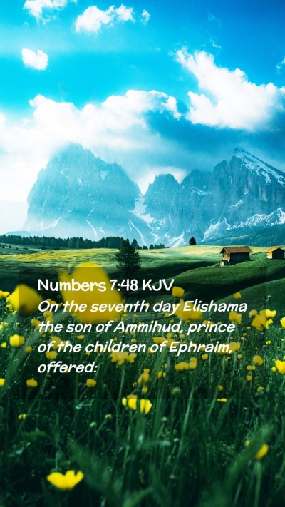 Picture 02 - Numbers 7:48 KJV Mobile Phone Wallpaper - On the seventh day Elishama the son of Ammihud, - Mobile Bible Verse Wallpaper