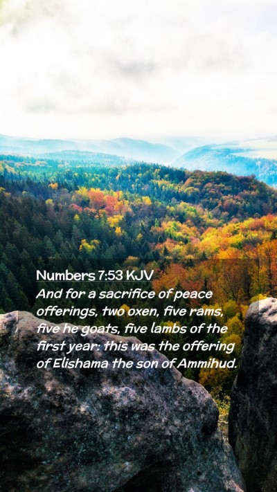 Picture 02 - Numbers 7:53 KJV Mobile Phone Wallpaper - And for a sacrifice of peace offerings, two oxen, - Mobile Bible Verse Wallpaper